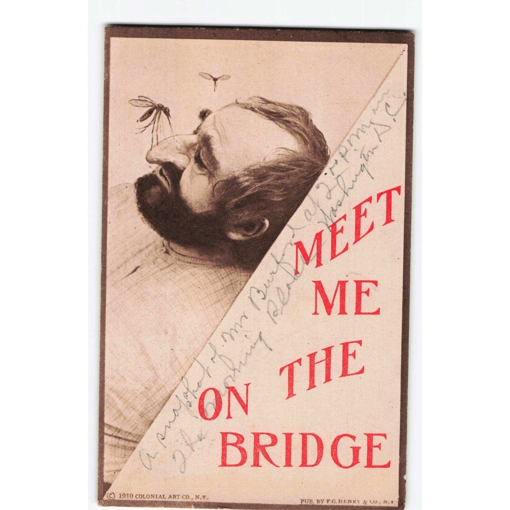 Vintage 1910 Comic Postcard Mosquito Man Meet Me On Bridge F.G. Henry NY